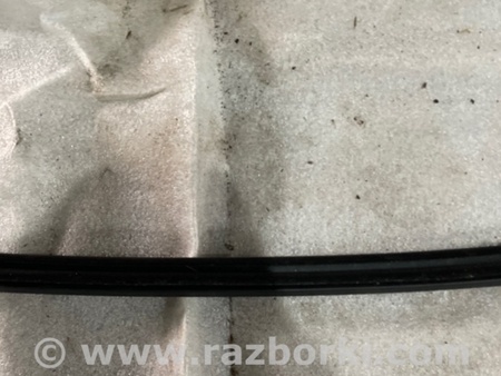 ФОТО Уплотнительная резинка для Audi (Ауди) A3 III 8V (12-20) Київ