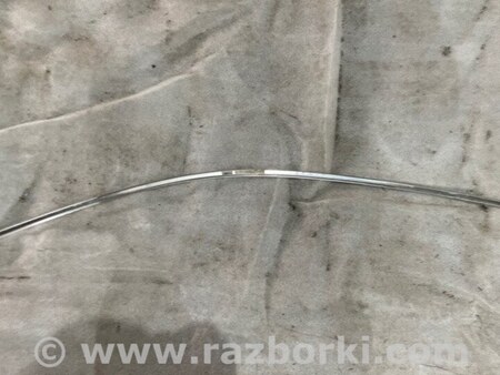 ФОТО Молдинг двери для Audi (Ауди) A3 III 8V (12-20) Київ