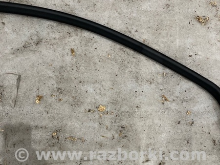 ФОТО Молдинг двери для Porsche Macan I 95B +FL (13-18) Київ