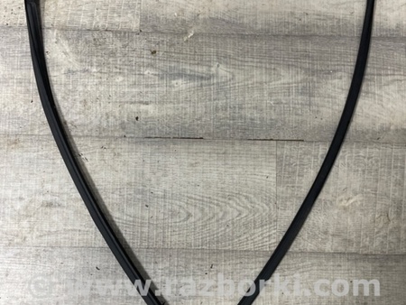 ФОТО Уплотнительная резинка для Subaru Outback VI BT (2019-) Київ