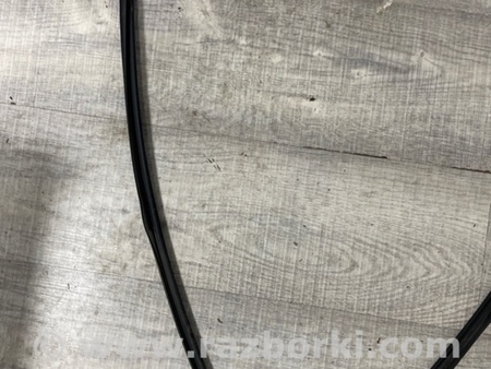 ФОТО Уплотнительная резинка для Subaru Outback VI BT (2019-) Київ