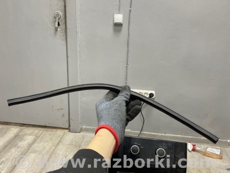 ФОТО Уплотнительная резинка для Subaru Outback VI BT (2019-) Київ