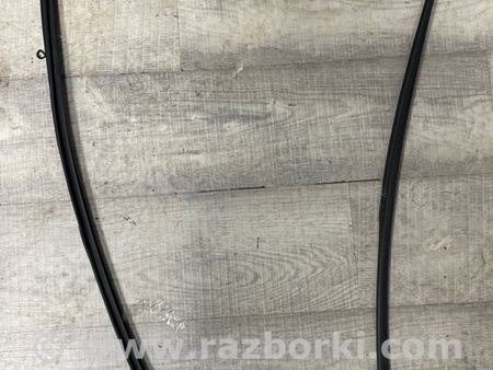 ФОТО Уплотнительная резинка для Subaru Outback VI BT (2019-) Київ