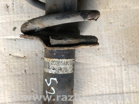 ФОТО Амортизатор задний для Subaru Legacy V BR/BM (09-14) Київ