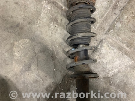 ФОТО Амортизатор задний для Subaru Legacy IV BL/BP (03-09) Київ