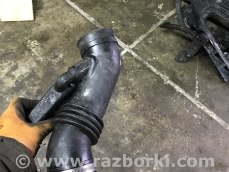 ФОТО Патрубок для Subaru Outback III BP/BL (03-09) Київ