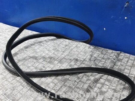 ФОТО Уплотнительная резинка задняя левая для BMW 5 F10 (10-17) Київ