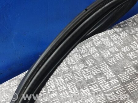ФОТО Уплотнительная резинка задняя левая для BMW 5 F10 (10-17) Київ