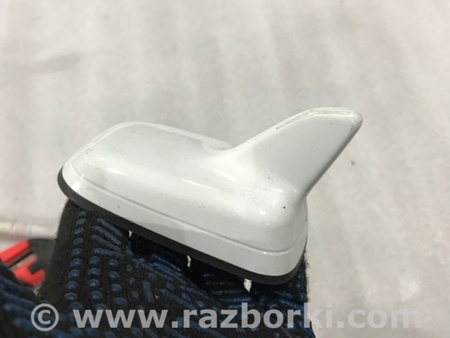 ФОТО Антенна для Audi (Ауди) A3 8V1, 8VA, 8V7, 8VS (03.2012-...) Киев