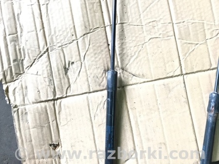 ФОТО Амортизатор багажника для Audi (Ауди) A4 IV B8 8K (07-15) Київ