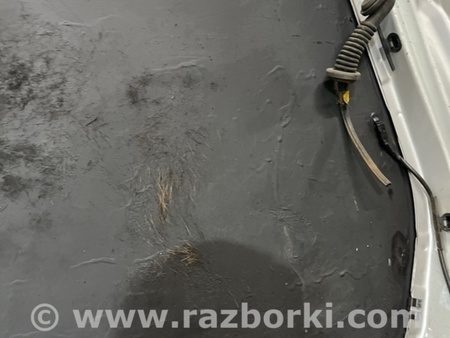 ФОТО Крышка багажника для Subaru Forester SG S11 (02-08) Київ