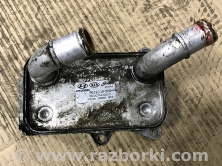 ФОТО Радиатор масляный для KIA Sorento 2 XM (09-14) Київ