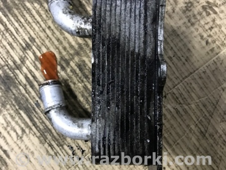 ФОТО Радиатор масляный для KIA Sorento 2 XM (09-14) Київ