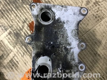 ФОТО Радиатор масляный для KIA Sorento 2 XM (09-14) Київ