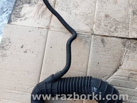 ФОТО Патрубок для Audi (Ауди) Q5 I 8R (08-17) Київ