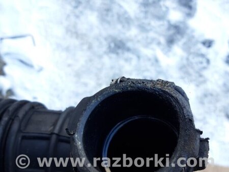 ФОТО Патрубок для Audi (Ауди) Q5 I 8R (08-17) Київ