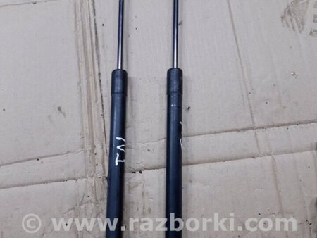 ФОТО Амортизатор багажника для Audi (Ауди) Q5 I 8R (08-17) Київ