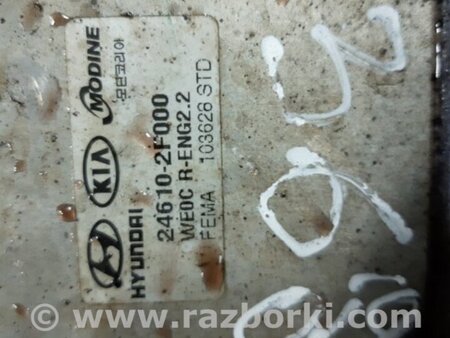 ФОТО Радиатор масляный для KIA Sorento 2 XM (09-14) Київ