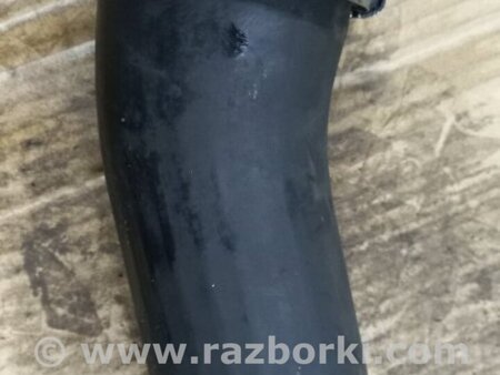 ФОТО Патрубок для KIA Sorento 2 XM (09-14) Київ