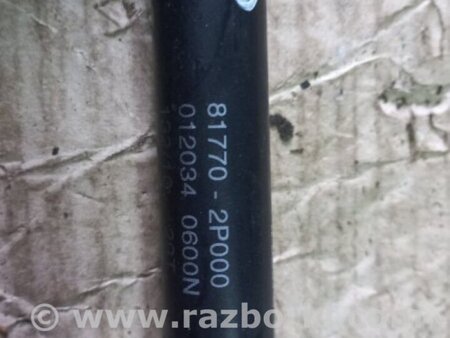 ФОТО Амортизатор левый для KIA Sorento 2 XM (09-14) Київ