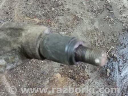 ФОТО Цапфа задняя для KIA Sorento 2 XM (09-14) Київ