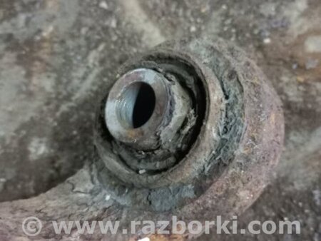 ФОТО Цапфа задняя для KIA Sorento 2 XM (09-14) Київ