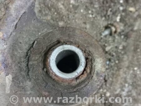 ФОТО Цапфа задняя для KIA Sorento 2 XM (09-14) Київ