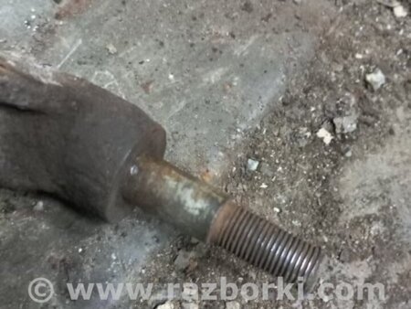 ФОТО Цапфа задняя для KIA Sorento 2 XM (09-14) Київ