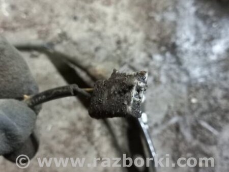 ФОТО Провода прочие задняя левая для KIA Sorento 2 XM (09-14) Київ