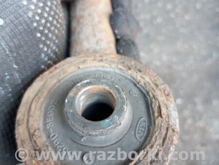 ФОТО Рычаг задний левый для KIA Sorento 1 BL (02-09) Київ