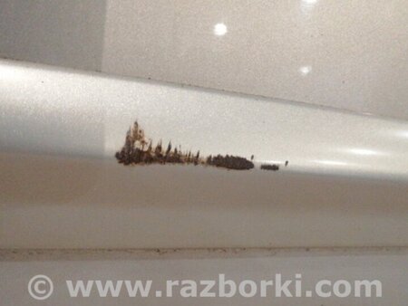 ФОТО Накладка на дверь задняя правая для Subaru Outback III BP/BL (03-09) Київ