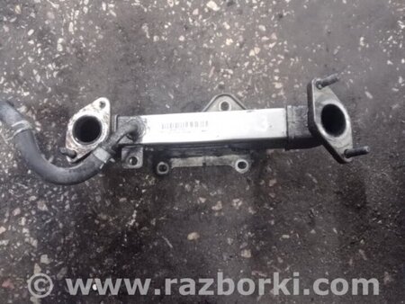 ФОТО Охладитель для KIA Sorento 2 XM (09-14) Київ