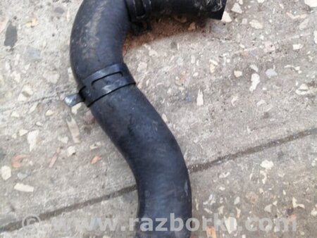ФОТО Патрубок радиатора для KIA Sorento 1 BL (02-09) Київ