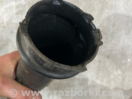 ФОТО Патрубок интеркулера для Audi (Ауди) A4 B8 - 8K2, 8K5 (08.2007-11.2015) Киев