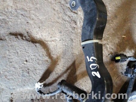 ФОТО Проводка для Subaru Legacy IV BL/BP (03-09) Київ