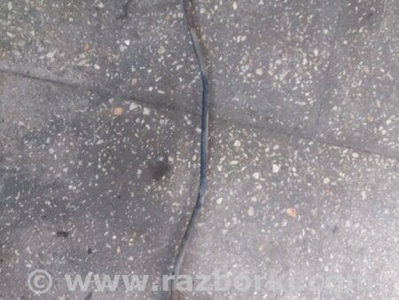 ФОТО Стабилизатор задний для Subaru Tribeca B9 (05-08) Київ