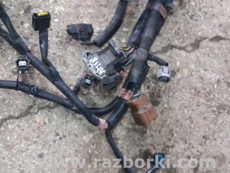 ФОТО Проводка для Subaru Legacy IV BL/BP (03-09) Київ