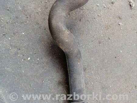 ФОТО Патрубок для Audi (Ауди) A6 C7 4G (11-18) Київ