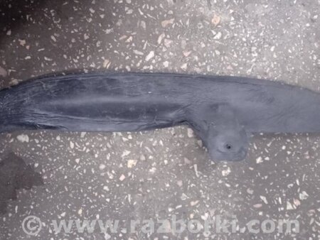 ФОТО Пыльник крыла левый для Subaru Legacy IV BL/BP (03-09) Київ