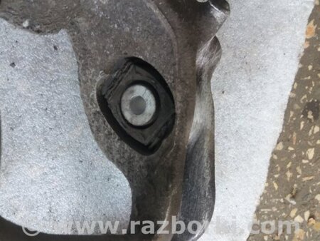 ФОТО Цапфа задняя для Audi (Ауди) A6 C7 4G (11-18) Київ