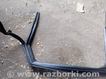 ФОТО Уплотнитель задний левый для Audi (Ауди) A6 C7 4G (11-18) Київ