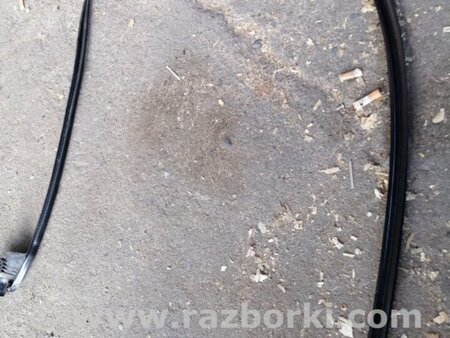 ФОТО Уплотнительная резинка задняя левая для Audi (Ауди) A6 C7 4G (11-18) Київ