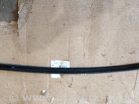 ФОТО Уплотнитель передний левый для Audi (Ауди) A6 C7 4G (11-18) Київ