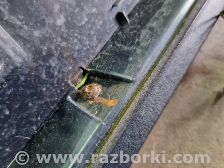 ФОТО Стоп-сигнал задний для Audi (Ауди) Q5 I 8R (08-17) Київ