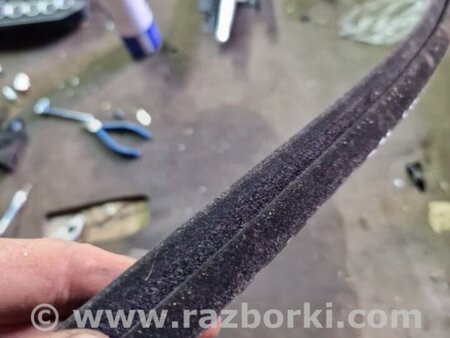 ФОТО Фетра задняя левая для Audi (Ауди) Q5 I 8R (08-17) Київ