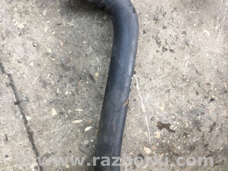 ФОТО Патрубок радиатора для Subaru Legacy IV BL/BP (03-09) Київ