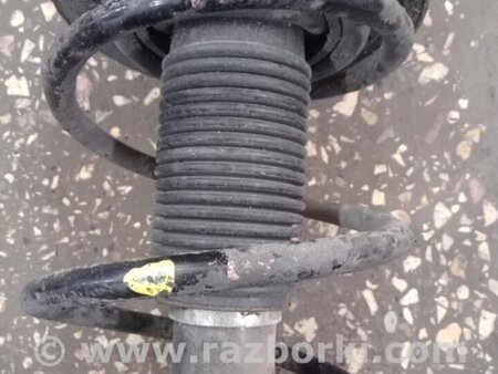 ФОТО Пружина передняя правая для Subaru Legacy IV BL/BP (03-09) Київ