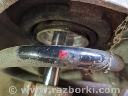 ФОТО Пружина передняя левая для Audi (Ауди) Q5 I 8R (08-17) Київ