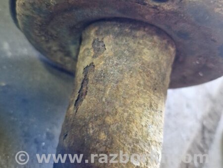 ФОТО Амортизатор передний левый для Audi (Ауди) Q5 I 8R (08-17) Київ