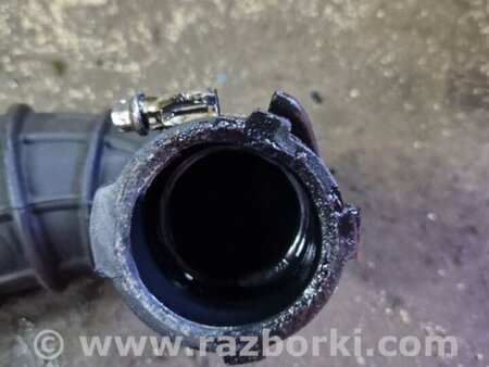 ФОТО Патрубок для Audi (Ауди) Q5 I 8R (08-17) Київ